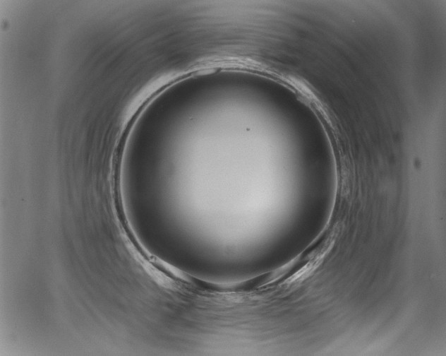 X0000062931438200601131500