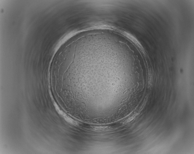 X0000062931439200601131500