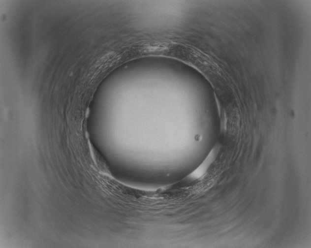 X0000062931441200601131459