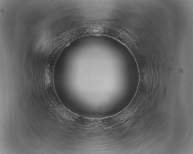 X0000062931442200601131459