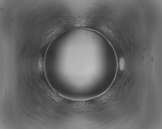 X0000062931444200601131459