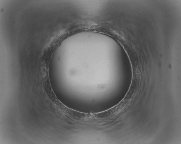 X0000062931447200601131459