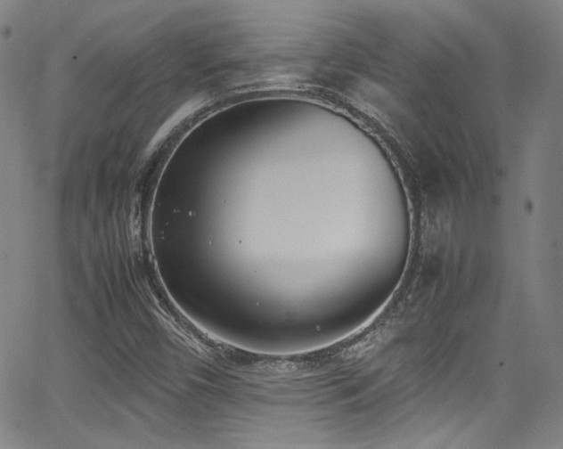 X0000062931450200601131459