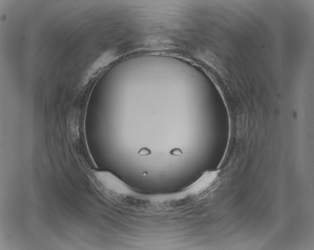 X0000062931451200601131459