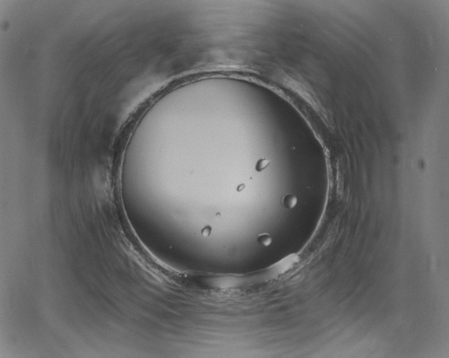 X0000062931452200601131459