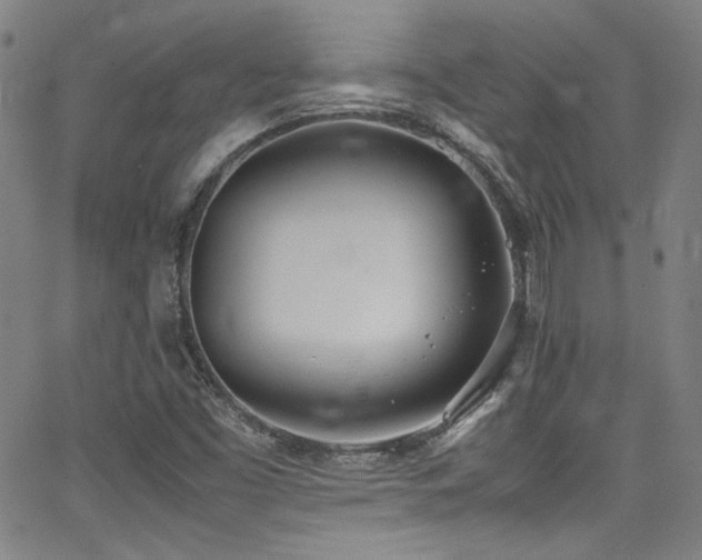 X0000062931453200601131459