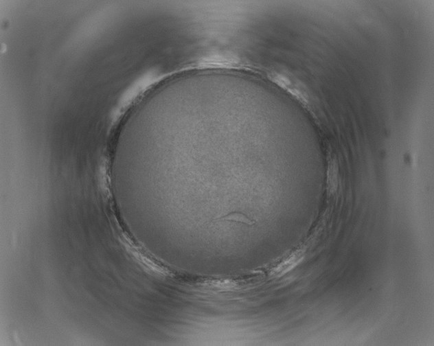 X0000062931454200601131459