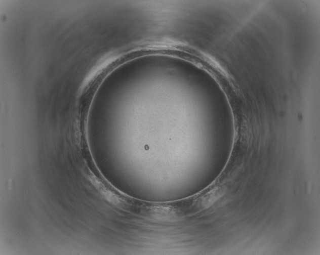 X0000062931456200601131459