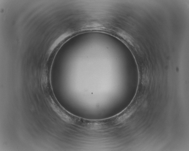 X0000062931458200601131459