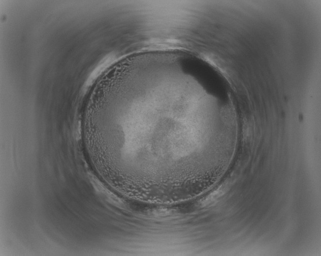 X0000062931459200601131459