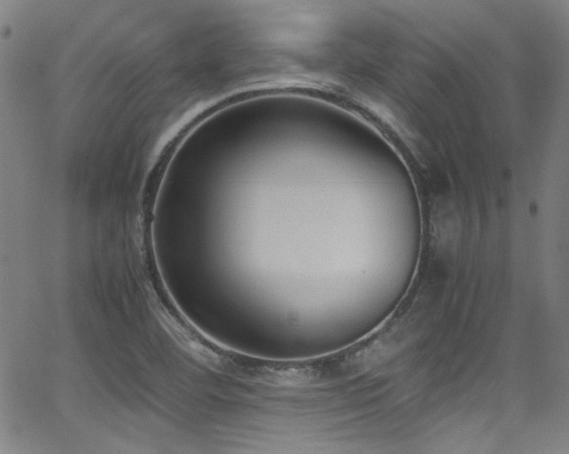 X0000062931460200601131459