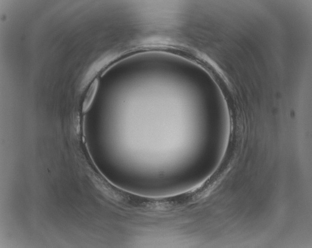 X0000062931461200601131459