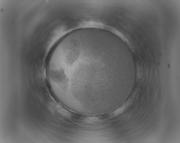 X0000062931462200601131459