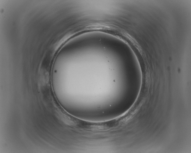 X0000062931465200601131459