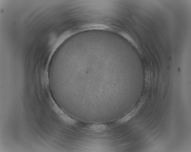 X0000062931466200601131459