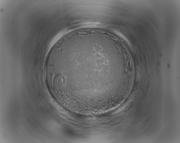 X0000062931467200601131459