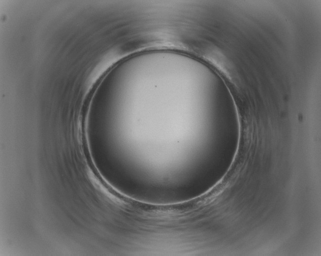 X0000062931468200601131459