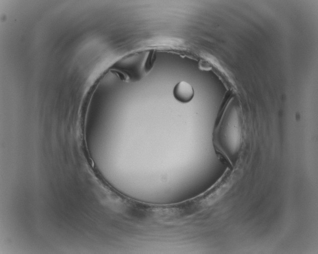 X0000062931469200601131459