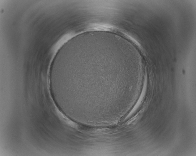 X0000062931471200601131458