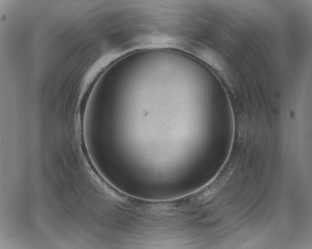 X0000062931472200601131458