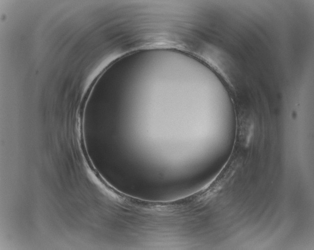 X0000062931476200601131458