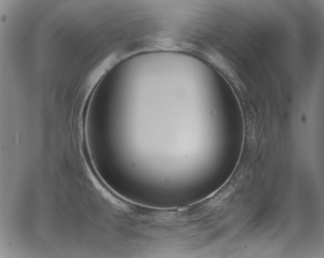 X0000062931479200601131458