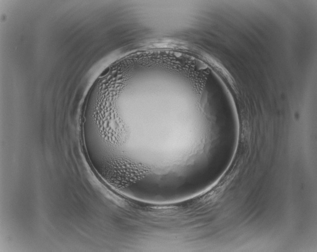 X0000062931483200601131458