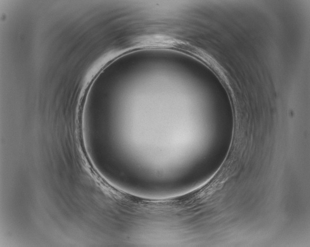 X0000062931488200601131458