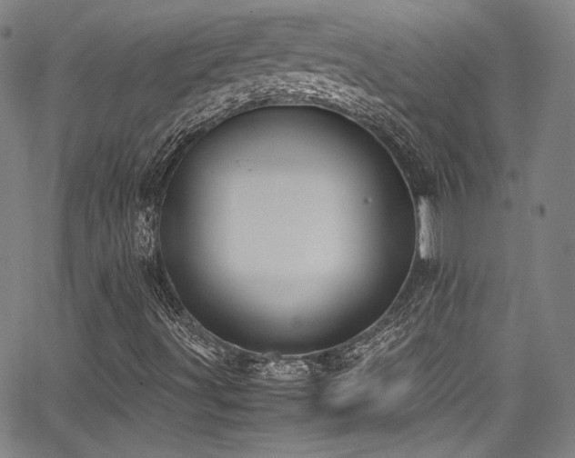 X0000062931491200601131457