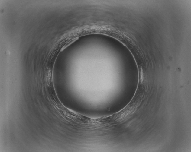 X0000062931492200601131457