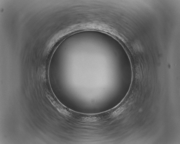 X0000062931499200601131458
