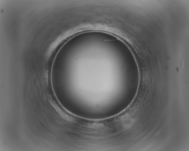 X0000062931503200601131458
