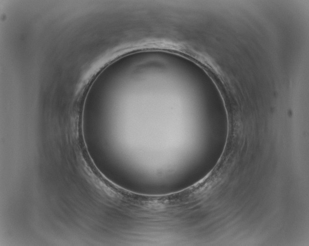 X0000062931504200601131458