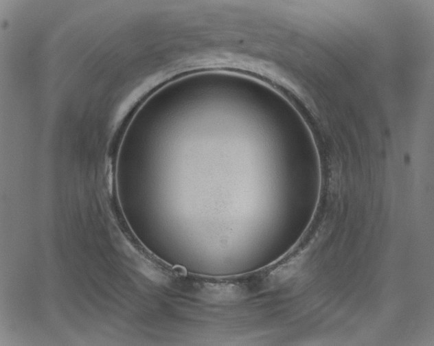 X0000062931509200601131458