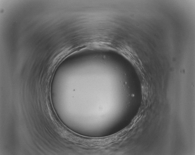 X0000062930001200601181321