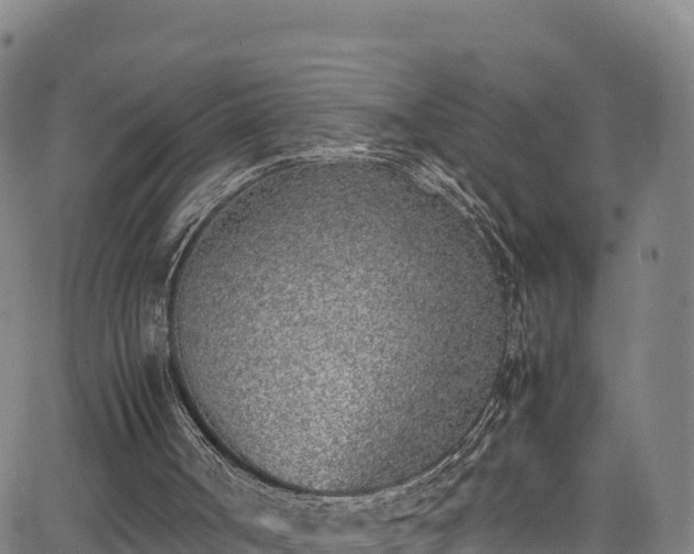 X0000062930002200601181321