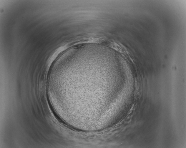 X0000062930003200601181321