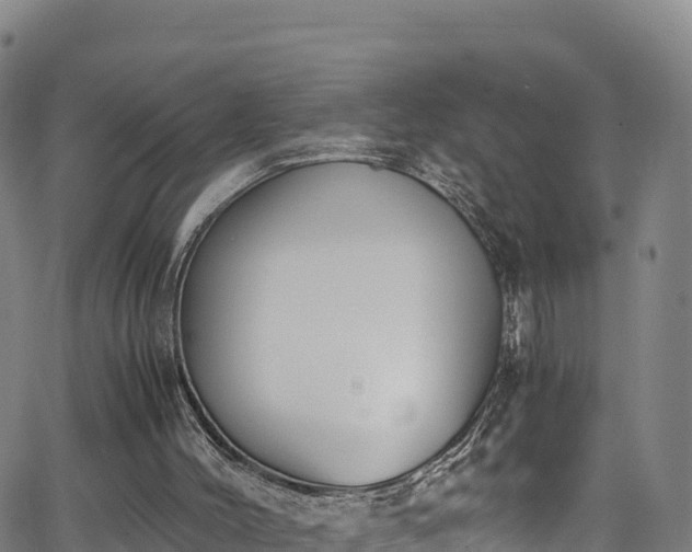 X0000062930004200601181321