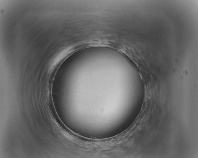 X0000062930005200601181321