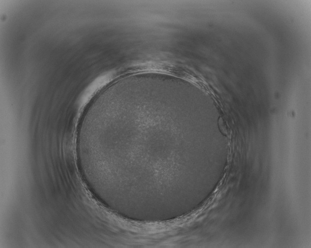 X0000062930006200601181321