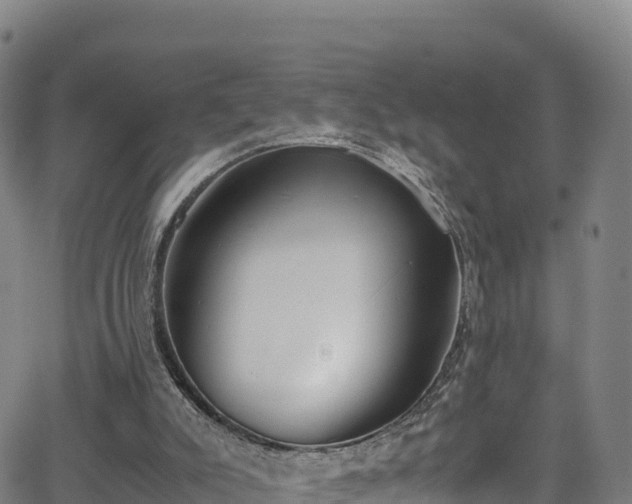 X0000062930007200601181321