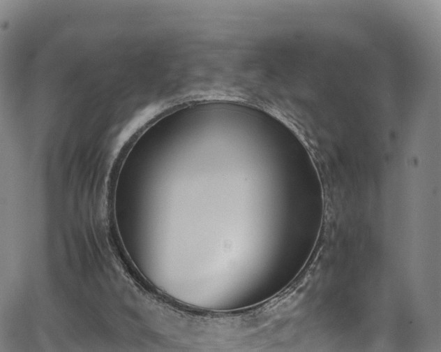 X0000062930008200601181321