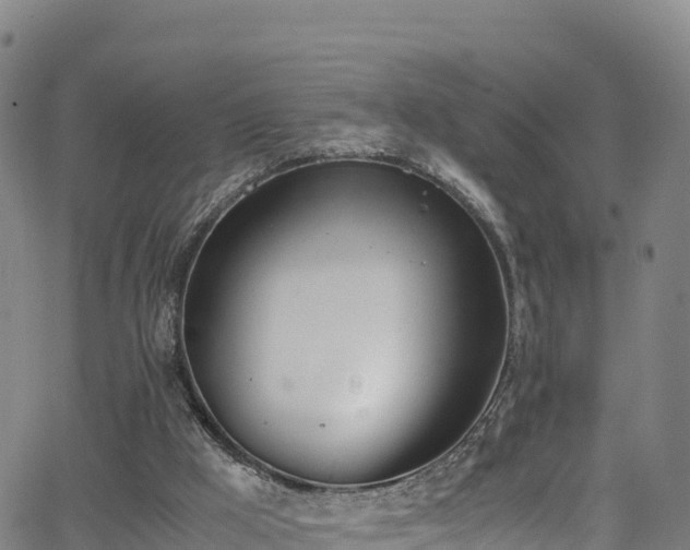 X0000062930009200601181321