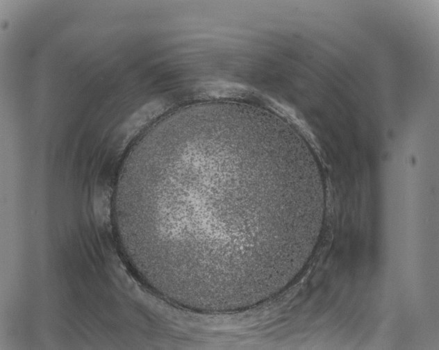 X0000062930010200601181321