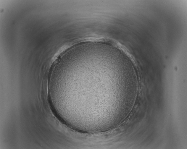 X0000062930011200601181321