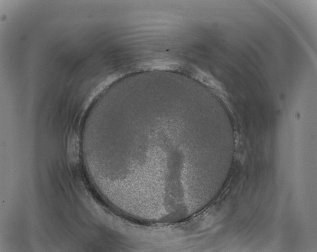 X0000062930012200601181321