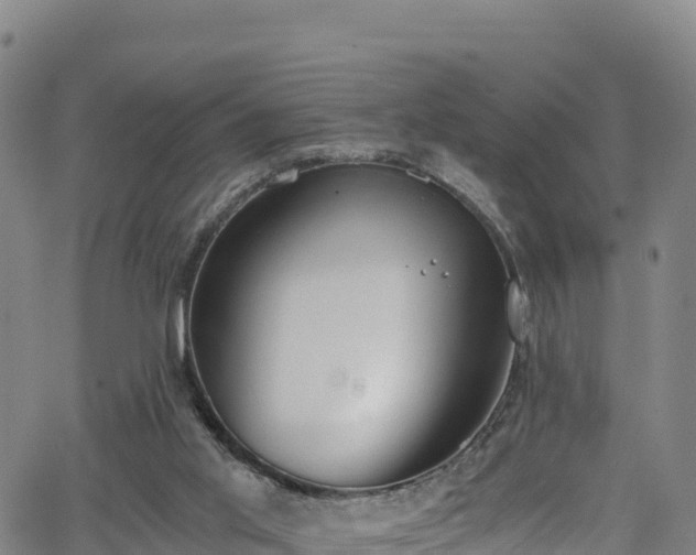 X0000062930013200601181321