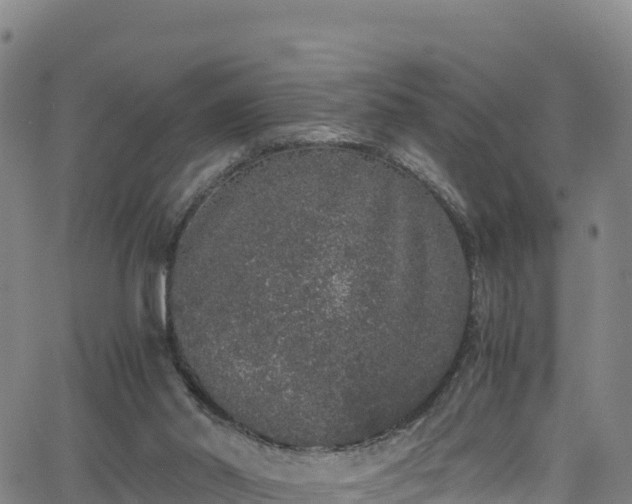 X0000062930014200601181321