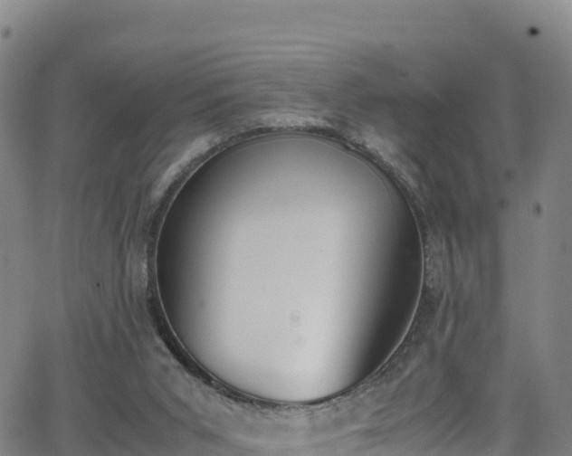 X0000062930015200601181321