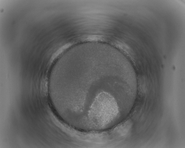 X0000062930016200601181321